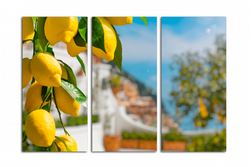 Модульная картина Лимоны в Средиземноморье
