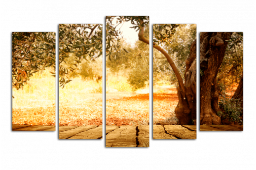 Модульная картина Оливковое дерево
